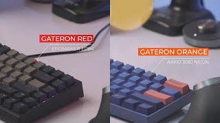 Gateron Red Vs. Gateron Orange Switches Typing Test ASMR