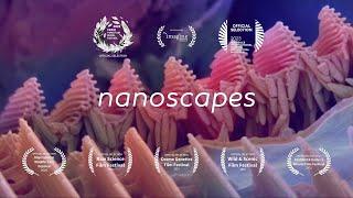 Nanoscapes : Award - winning short film