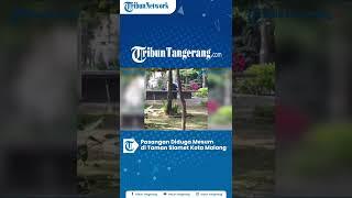 Viral, Video Pasangan Diduga Mesum di Taman Slamet Kota Malang, Pemkot Bakal Pasang CCTV