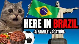 CAT MEMES: HERE IN BRAZIL