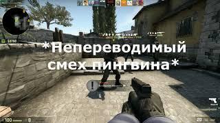 CS:GO Нарезка #2