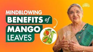 Benefits of mango leaves| Health benefits of mango leaves| Mango leaves for diabetes| Mango leaves