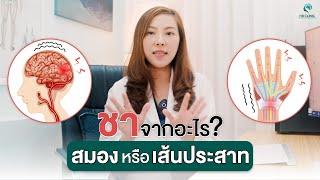 ชาจากอะไร สมองหรือเส้นประสาท