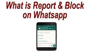 What Happens when you Report and Block someone on Whatsapp