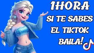 SI TE SABES EL TIKTOK BAILA! (1HORA) (2024)TIKTOK MASHUP