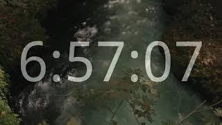 7 Hours Timer || Forest Birds Chirping || 2 Minute Bird Song Alarm