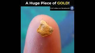 HUGE gold flake found! (For the Fraser River, this IS HUGE!)