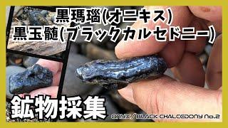 【鉱物採集】茨城県の海岸で石拾い【黒瑪瑙(オニキス)と黒玉髄(ブラックカルセドニー) No.2】／赤い瑪瑙(玉川石)の産地へちょっと寄り道