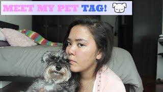 Meet My Pet TAG!