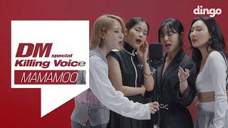 마마무(MAMAMOO)의 킬링보이스를 라이브로! - Mr.애매모호,너나 해,데칼코마니,별빛밤, I miss you,HIP, 고고베베, 딩가딩가, AYA ㅣ 딩고뮤직