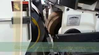 5 Axis CNC Centerless Grinding Machine/CNC Centerless Grinder CNC 200 by BHAGWANSONS