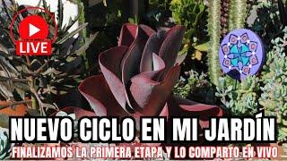 NUEVO CICLO EN MI JARDÍN: finalizamos primera etapa y la comparto en Vivo