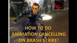 "How to do" #1 -Barbarian Blademaster - Brash strike animation cancelling - explanation