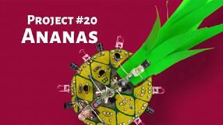 Ananas, Boldport Club Project #20 glamour video!