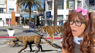 Jungle Animals Escaped Into the City | Animal Stories for Kids