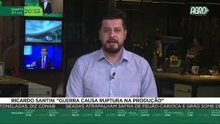 Carne suína: Coreia do sul vai importar cota sem taxa