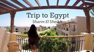 Trip to Egypt, 2019\\Sharm El Sheikh