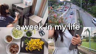 life in singapore | 8-5 wfh, pineapple fried rice, burnt cones, difficult colleagues #wfh #vlog