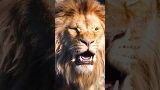 Mind Blowing Facts About Animals  | Crazy Facts | Random Facts | Amazing Facts In Hindi