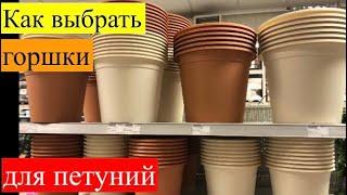 Кашпо для петуний. Какие горшки подойдут для каких сортов петуний