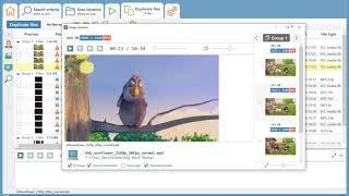 Duplicate Cleaner 5 (Preview) - Video Matching