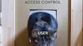 User vs IT security