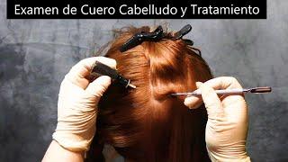 ASMR Scalp Check and Treatment | Examen de Cuero Cabelludo y Tratamiento | ASMR en Español