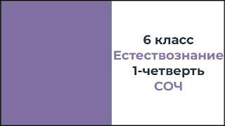 6 класс Естествознание 1 четверть СОЧ