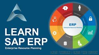 SAP ERP Essential Training