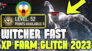 The Witcher 3 Level UP Fast, Witcher 3 XP Farm Glitch, Witcher 3 How to level up fast 2023 Leveling