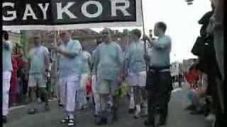 Stockholm - Pride Parade 2004 (Stereo DV)