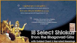 18 Most Important Shlokas of Bhagavad Gita - With Narrated Meanings