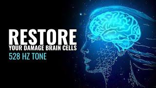 Heal and Restore Your Damage Brain Cells | Overcome Your Decreased Mental Capabilities | 528 Hz Tone