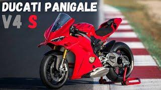 2025 DUCATI PANIGALE V4 S - Brand NEW, Quick View in Detail, Walkaround!!! #panigalev4s #ducati