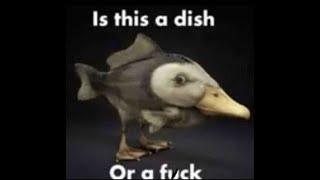 is this a dish or a f-