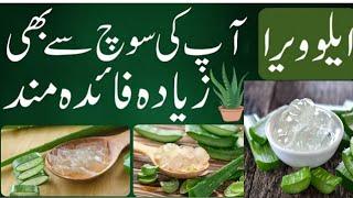 Aloe_vera Jel ke fawaid_Incredible benefit of aloe vera gel on beauty and health