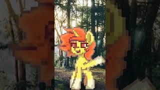 pony town animation #ponytown #animationmeme