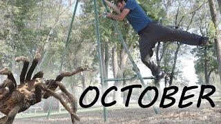 Spiders and Parkour - October Street Stunts