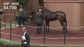 Tuz Sells at Keeneland September