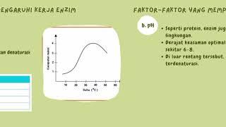 ENZIM 2 (Cara kerja dan faktor yang mempengaruhi kerja enzim)