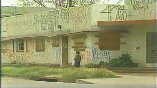 Nightline On Gangs  1988  Full Episode + More