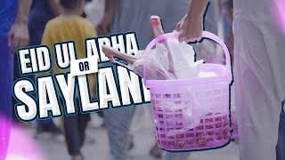 Some Glimpses of Collective Qurbani 2024 | Saylani Head Office | Donors Reviews