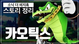 사람들이 모르는 소닉 탐정 캐릭터!! / 소닉의 스토리를 알아보자! #8 [영래기]