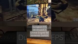 Testing FPS dungeon game developed in Unreal Engine for Nintendo Switch!