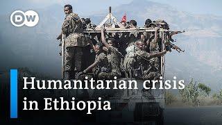 Government forces make gains in Ethiopia conflict | DW News