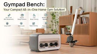 Now on Kickstarter: Gympad Bench — Your Compact All-In-One Home Gym