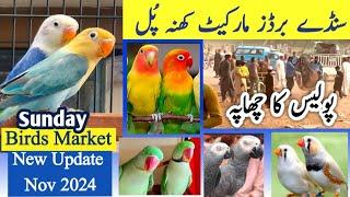 Exploring Sunday Birds Market Rawalpindi | Khanna Pull birds market Rawalpindi | Birds market update