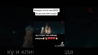 Шердил кипип нав 2022