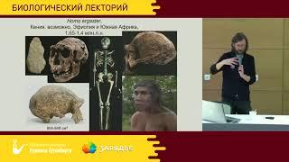 Происхождение человека.