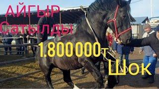 г KARABULAK MAL BAZAR./Ат сатылды 1.800 000т